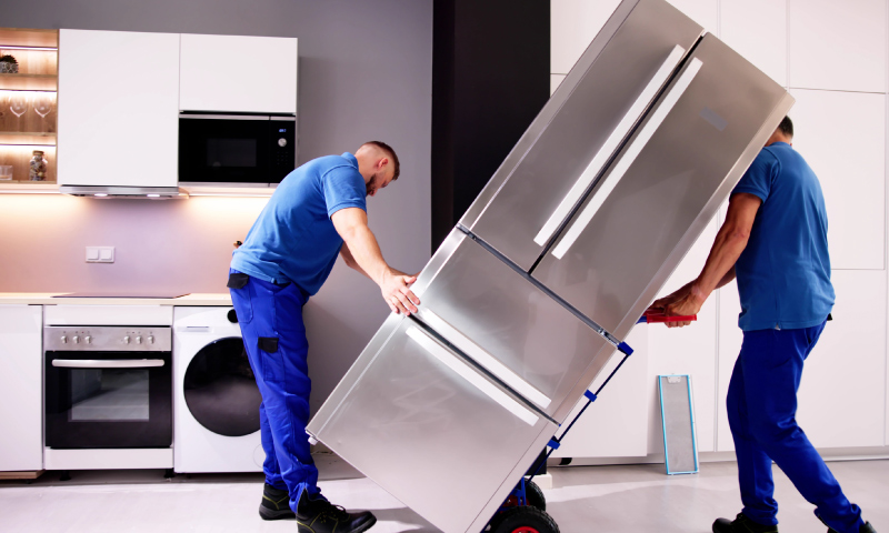 <blat>שאטרסטוק</blat>