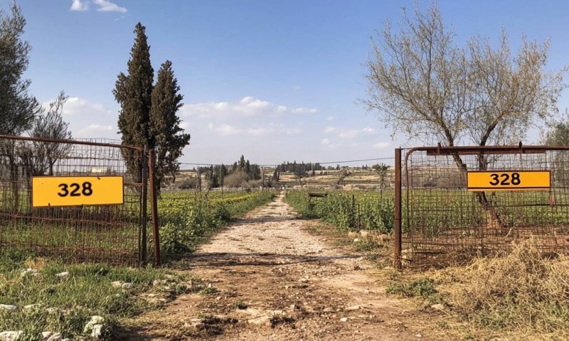 ממושבה חקלאית ליישוב יוקרתי: קרקעות פרטיות להשקעה בפרדס חנה ב-199 אלף ₪