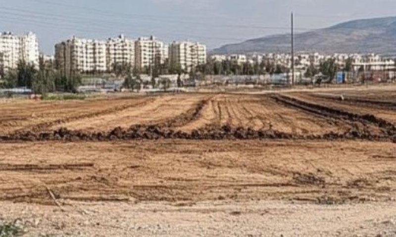 הציבור החרדי גילה את פרדס חנה: "רוכשים קרקעות בזול עבור הילדים לפני שהמחירים יזנקו"