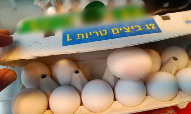 הרשתות מכרו ביצים מזוהמות בחומר רעיל